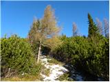 Planina Ravne - Kapelica na Molički planini